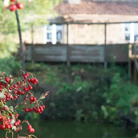 Bed & Breakfast Les Du Logis Du Chatelier 3*