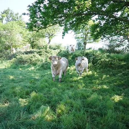 Les Du Logis Du Chatelier 3*