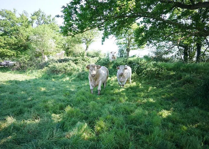 Les Du Logis Du Chatelier 3*